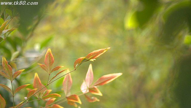 ãã¡ã€ã« 1035-3.jpg