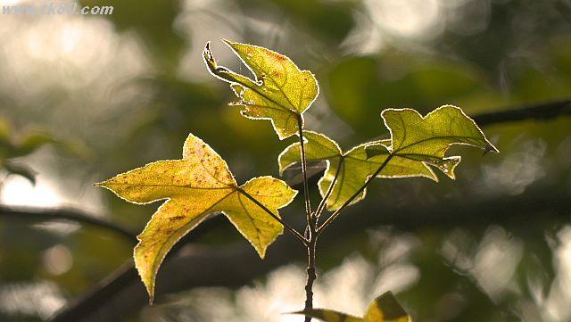 ãã¡ã€ã« 1036-3.jpg