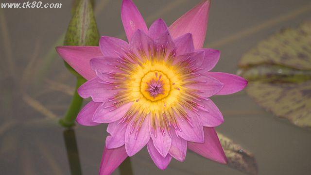 ãã¡ã€ã« 1037-1.jpg