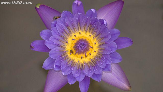 ãã¡ã€ã« 1037-2.jpg