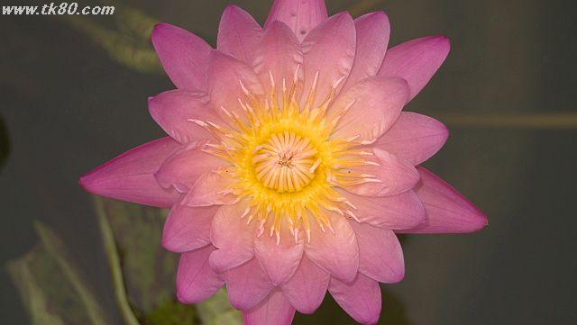 ãã¡ã€ã« 1037-3.jpg