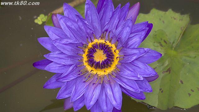 ãã¡ã€ã« 1037-4.jpg