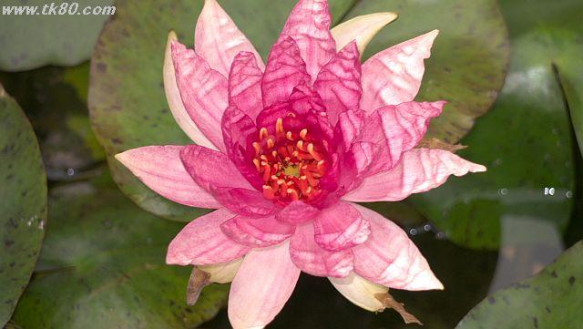 ãã¡ã€ã« 1037-5.jpg