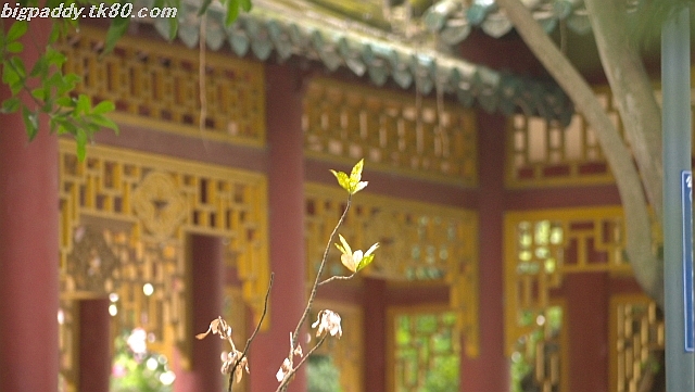 æµå·žå¸‚ã®è¦³å…‰åœ°ã€è¥¿æ¹–を久々æ©ã æµå·žå¸‚ã®è¦³å…‰åœ°ã€è¥¿æ¹–を久々æ©ã