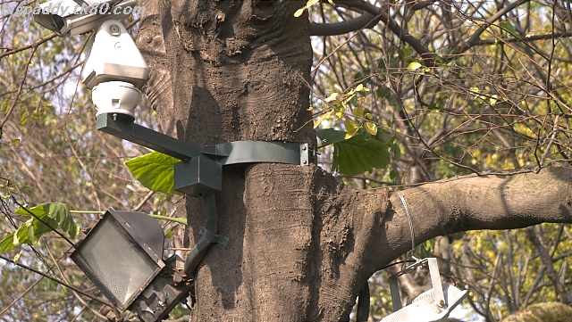 グイグイï¼è‹¦ã—ィョ~ï¼ï¼ グイグイï¼è‹¦ã—ィョ~ï¼ï¼