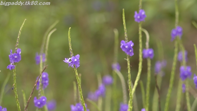 五・一、久々の晴れ間だ！