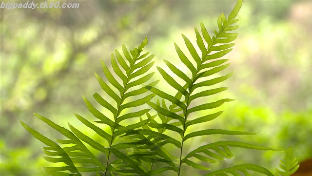 この３連休は歩きまくったゾ！！