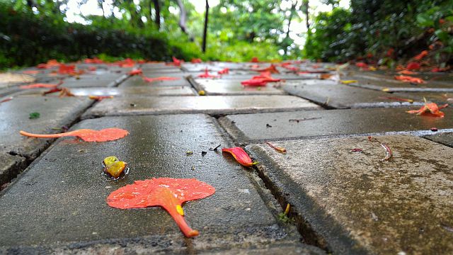 ãã¡ã€ã« 1158-4.jpg