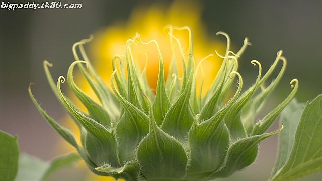 ãã¡ã€ã« 1159-3.jpg