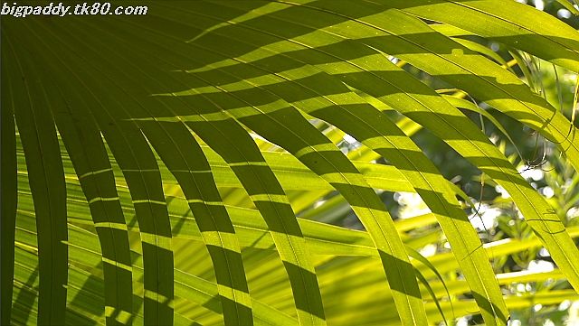 ãã¡ã€ã« 1187-1.jpg