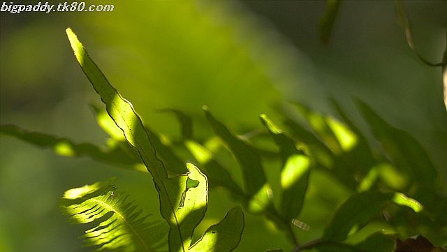 ãã¡ã€ã« 1187-3.jpg