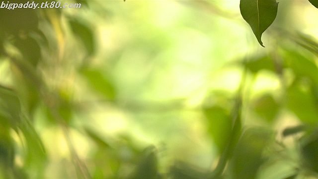 ファイル 1189-3.jpg