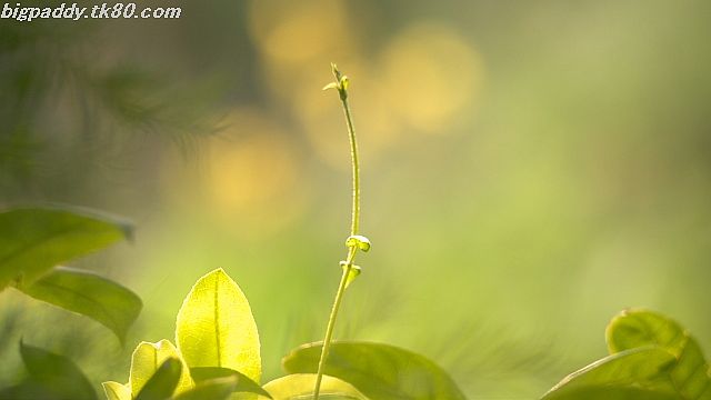 ファイル 1189-4.jpg