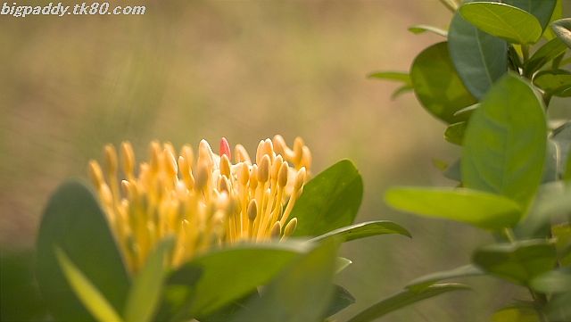 ファイル 1189-5.jpg