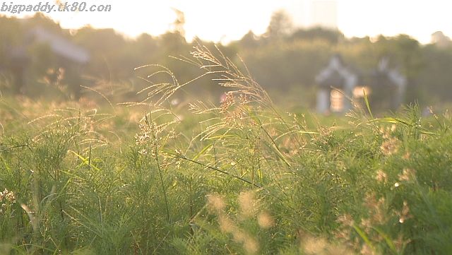 ファイル 1218-1.jpg