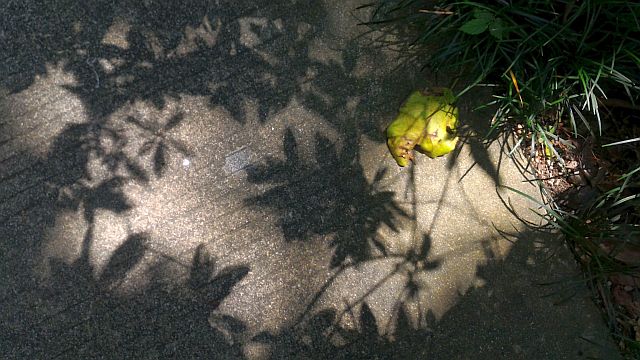 ファイル 1220-1.jpg