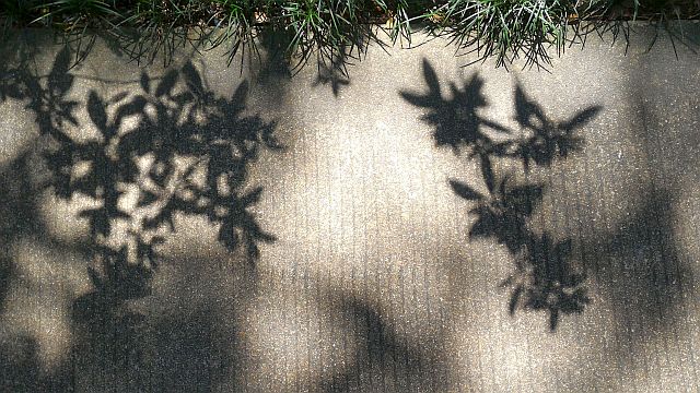 ファイル 1220-2.jpg