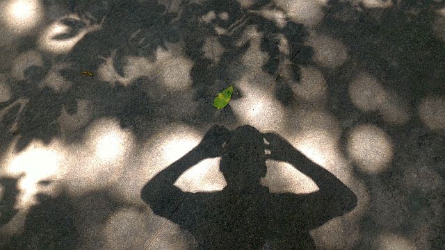 ファイル 1220-3.jpg