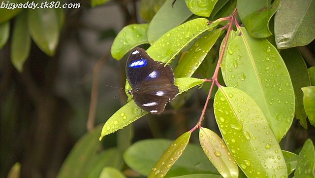 ファイル 1249-2.jpg