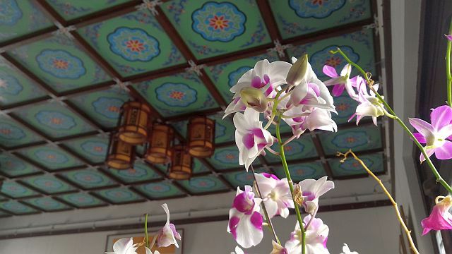 ファイル 1254-1.jpg