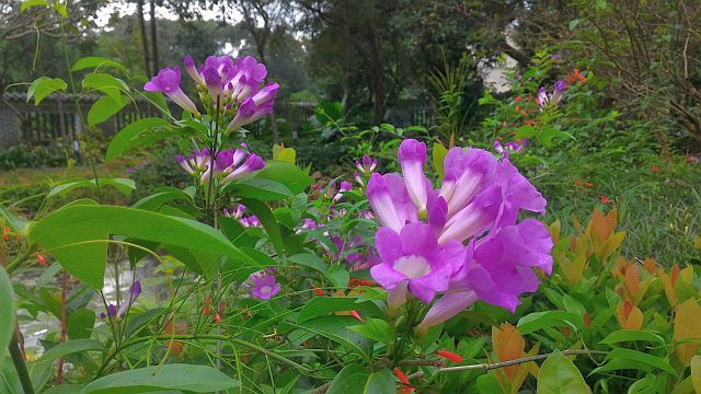 ファイル 1254-2.jpg