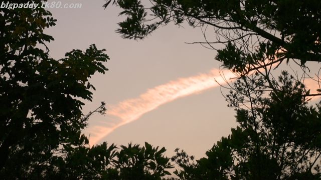 ファイル 1256-5.jpg