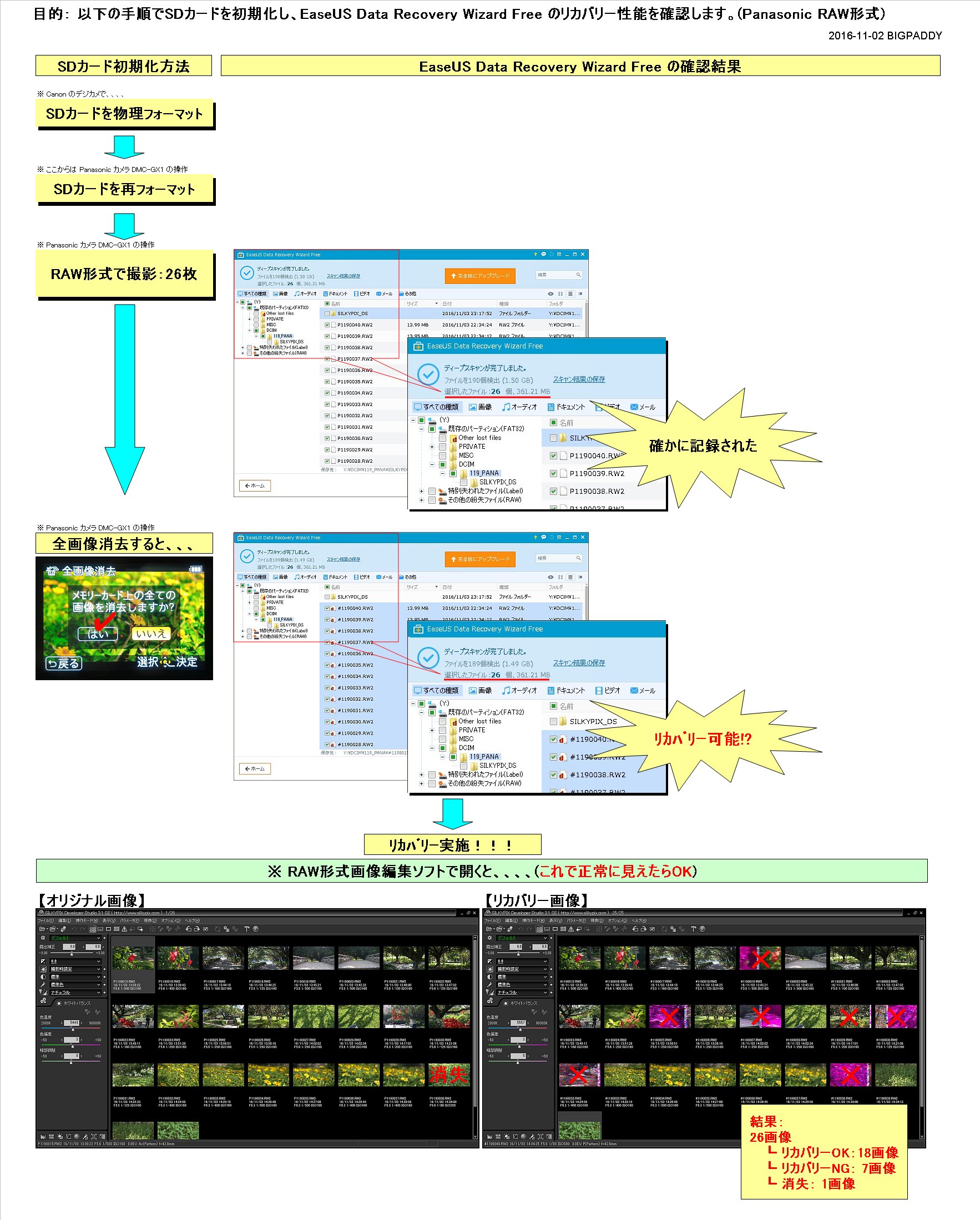 レビューの執筆依頼があった。(Panasonic RAWファイルの復元)
