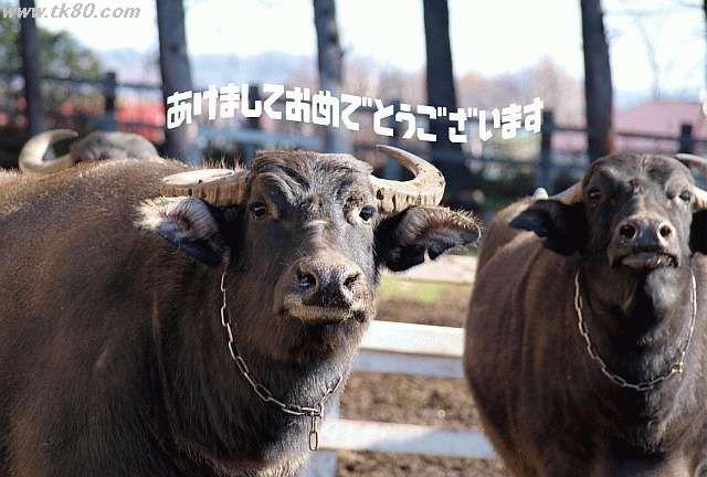 おめでとうございます。