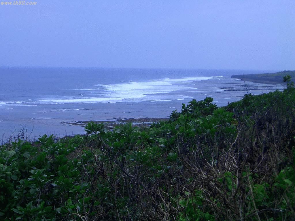 å¹³å’Œå‰µé€ ã®æ£®å…¬åœ’ä»˜è¿‘ã®æµ·å²¸ç·šã§ã™ã€‚é æµ…ã§ã™ã€‚