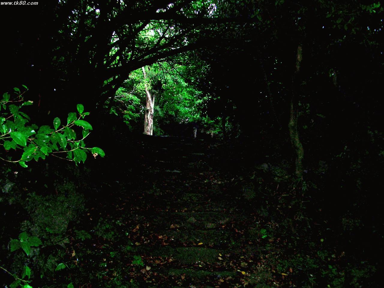 藪地島ジャãƒãƒ¼æ´ž?付近ã§ã™ã€‚周りã¯ã‚¸ãƒ£ãƒ³ã‚°ãƒ«ã§ã™ã€‚