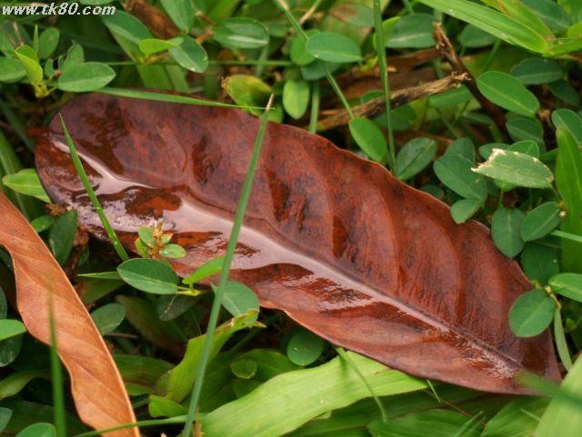 ファイル 434-2.jpg