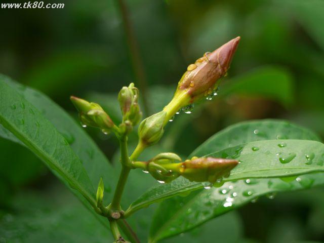 ファイル 434-3.jpg