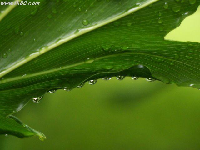 ファイル 434-5.jpg