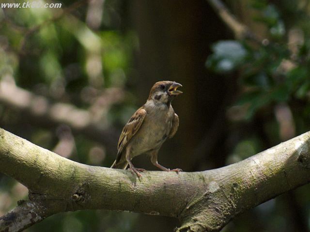 ファイル 436-1.jpg