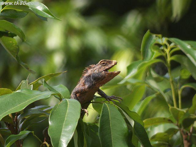 ファイル 436-2.jpg