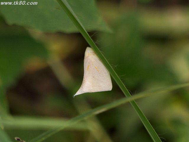 ファイル 436-4.jpg