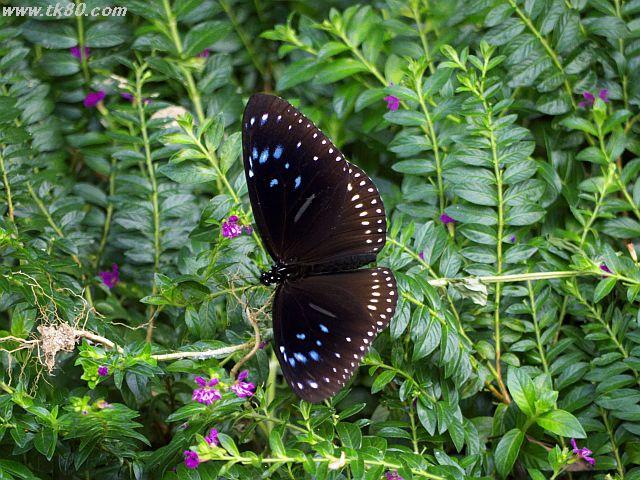 ファイル 436-5.jpg