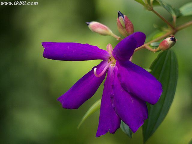 ファイル 437-1.jpg