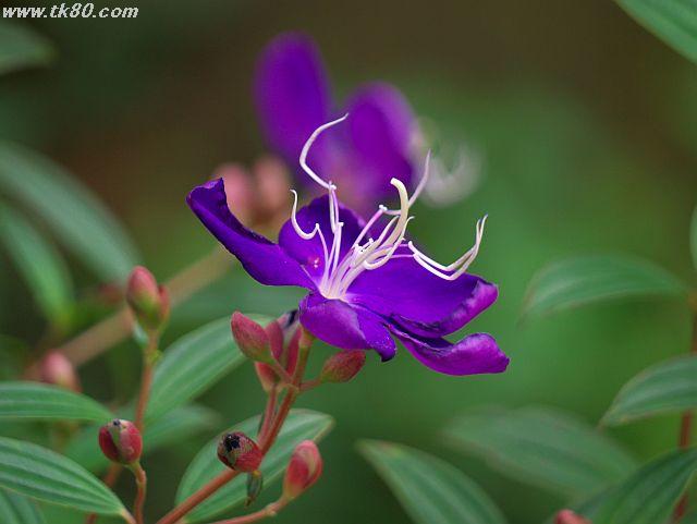 ファイル 437-2.jpg