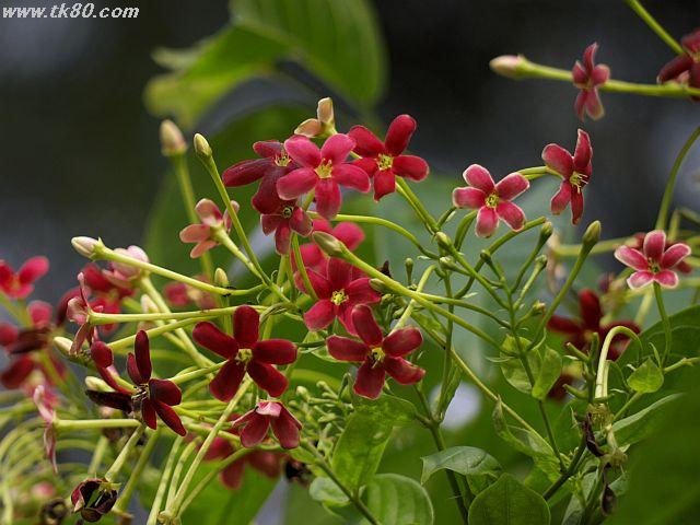 ファイル 437-4.jpg