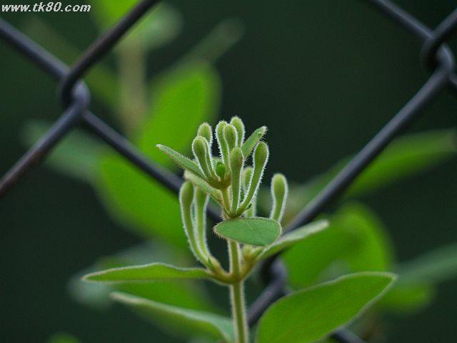 ファイル 437-5.jpg