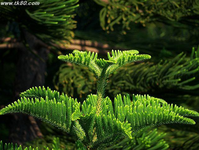 ファイル 439-1.jpg