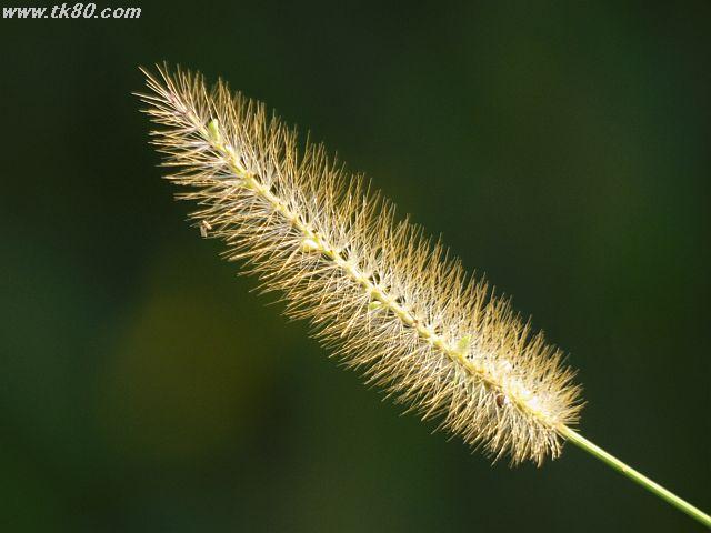 ファイル 439-2.jpg