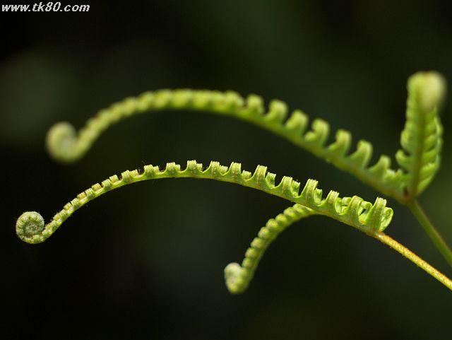 ファイル 439-3.jpg