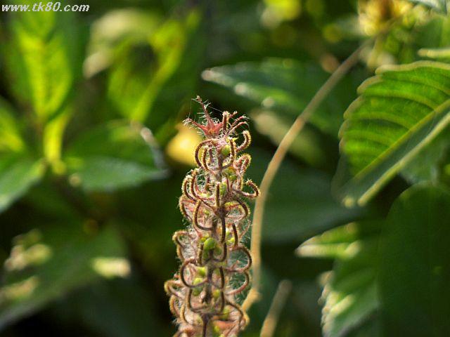 ファイル 439-4.jpg