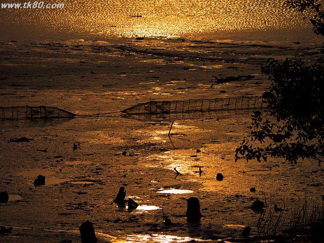 ファイル 441-1.jpg