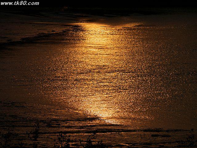 ファイル 441-2.jpg