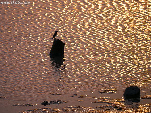 ファイル 441-3.jpg