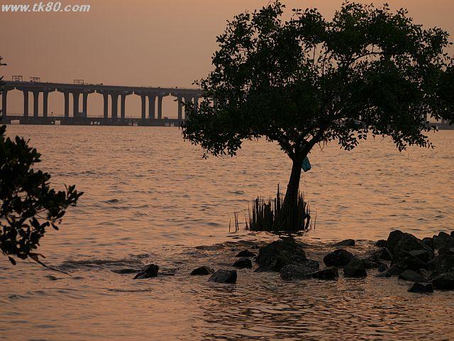 ファイル 441-4.jpg