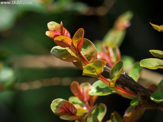 ãã¡ã€ã« 458-3.jpg